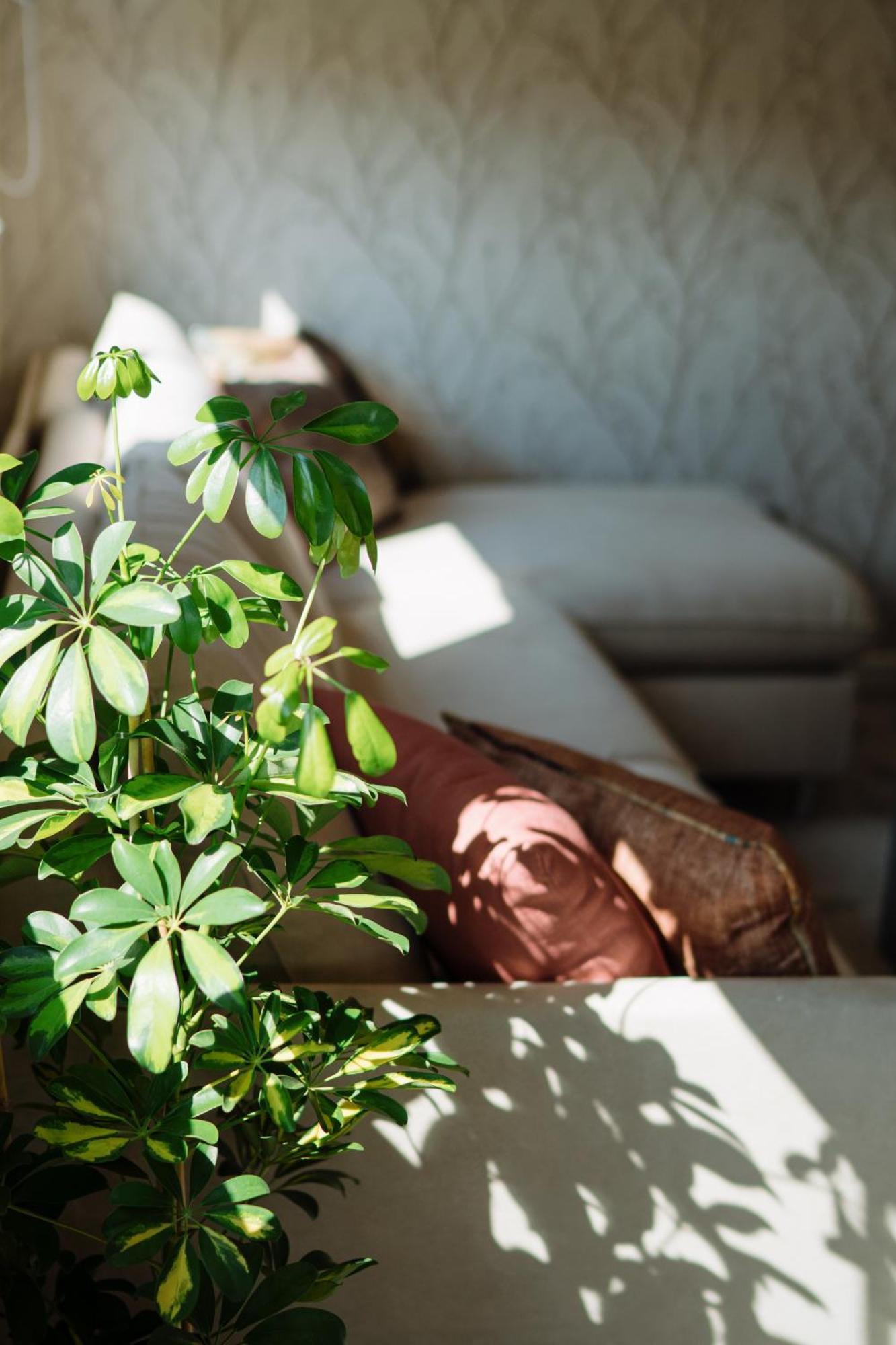 Apartamento Lena Luxury *